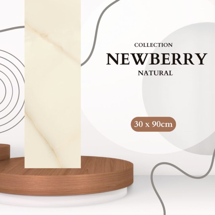NEWBERRY SANITAIRE ELGUICHE