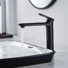 MOMALI SANITAIRE ELGUICHE