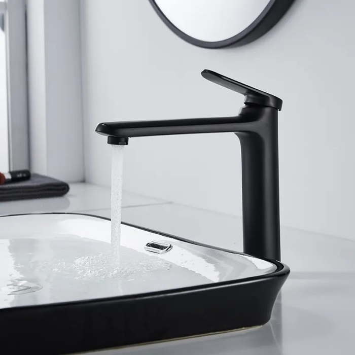 MOMALI SANITAIRE ELGUICHE