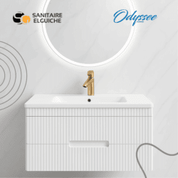 Odyssée MONET Meuble avec VASQUE