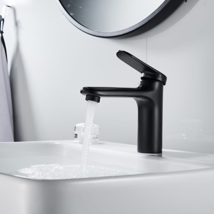 MOMALI SANITAIRE ELGUICHE