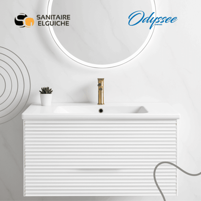 Odyssée PICASSO Avec VASQUE